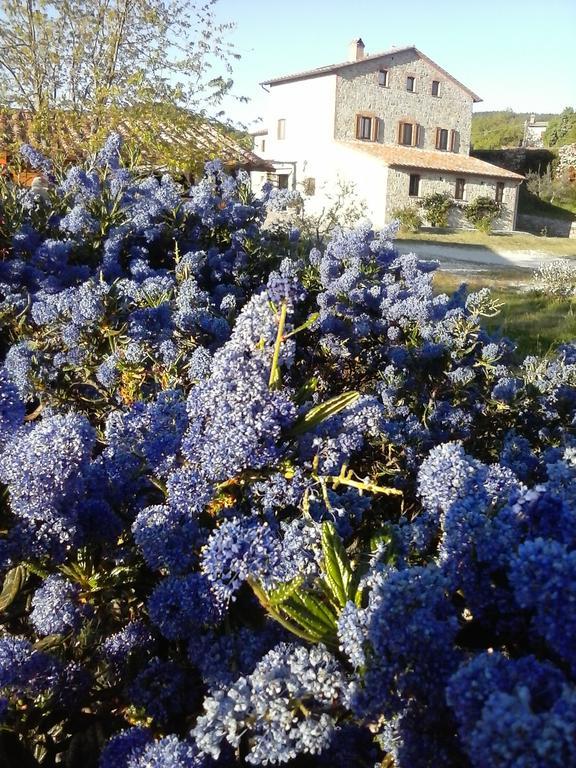 Agriturismo Valiana Villa Montegabbione Esterno foto