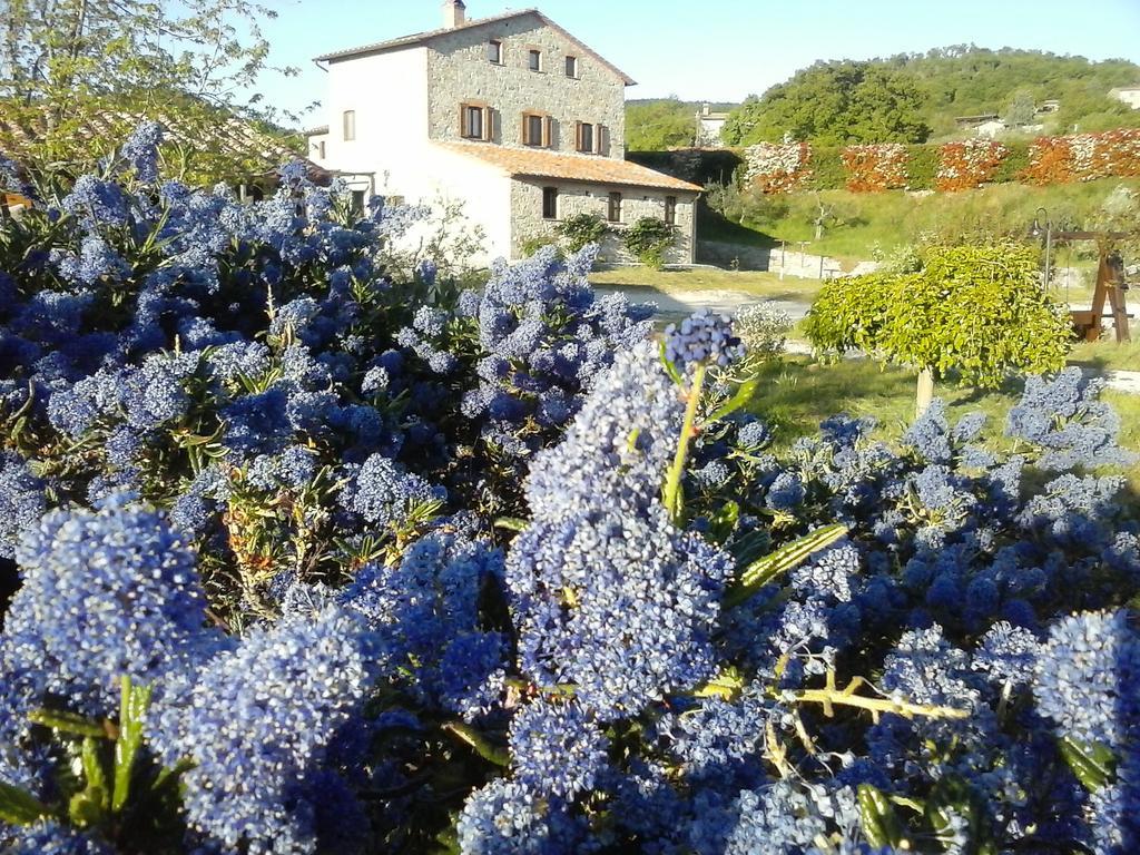 Agriturismo Valiana Villa Montegabbione Esterno foto