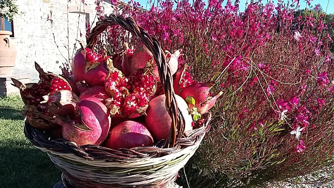 Agriturismo Valiana Villa Montegabbione Esterno foto