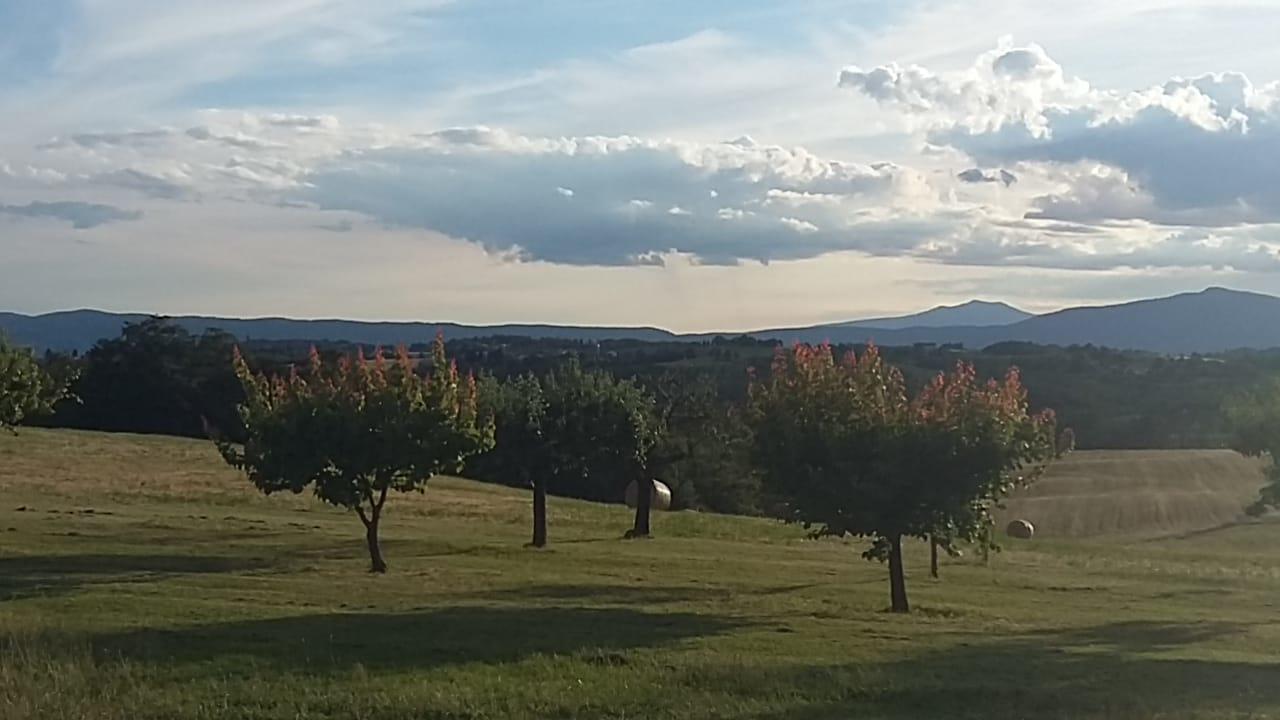 Agriturismo Valiana Villa Montegabbione Esterno foto